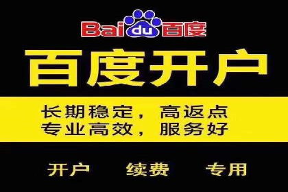 行业领先企业的SEM代理案例剖析